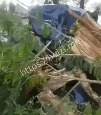 刹车失灵