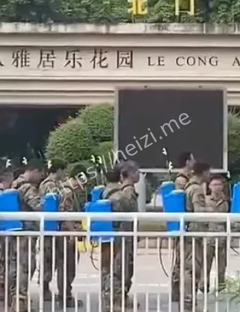 蚊媒传播