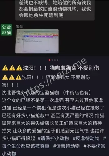 女主