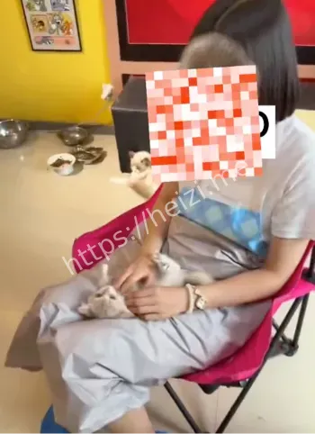 个人信息