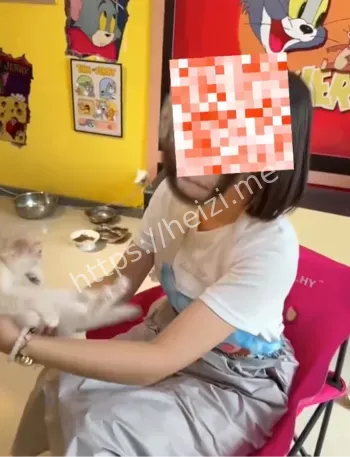 猫咖包房