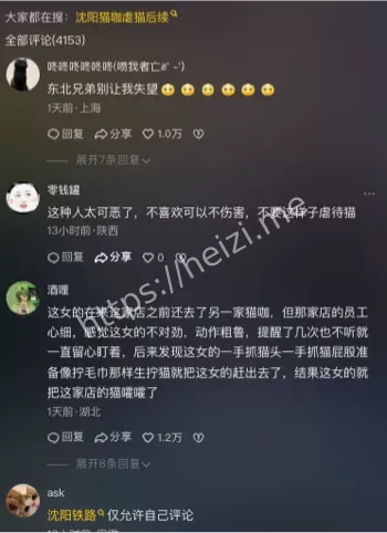 猫咖包房