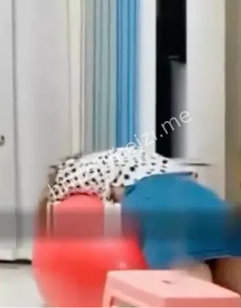 诱惑