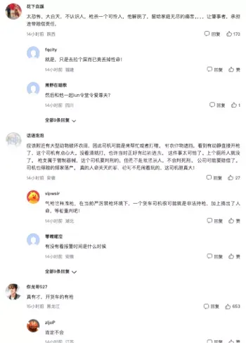 气枪击中
