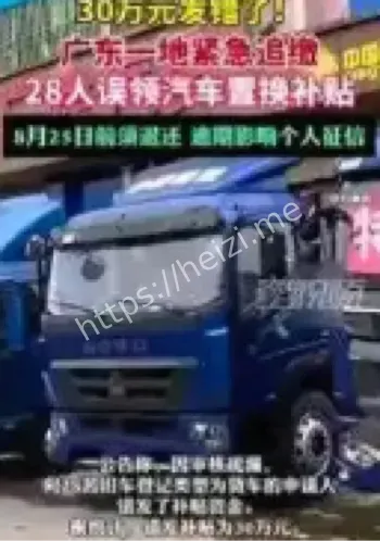 政府纠错