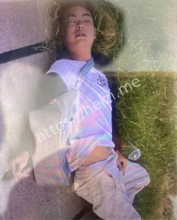 诈骗