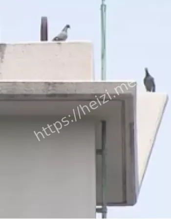 校园安全