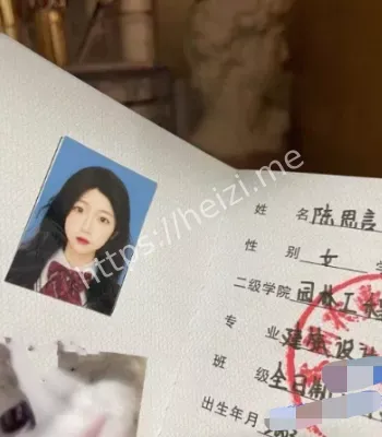 陈思言