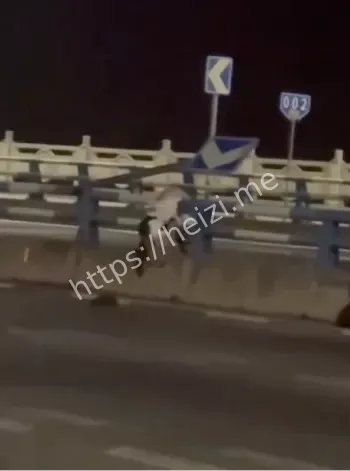 精神小伙超速驾驶悲剧