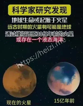 火星微生物迹象