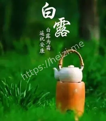 白露节气养生