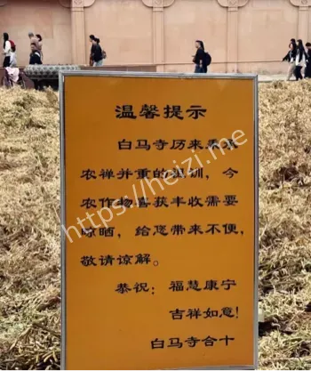 清香免费