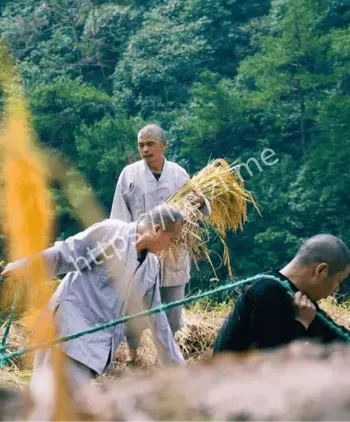 少林寺