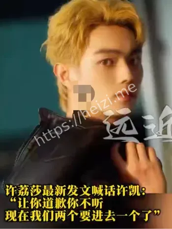 业内人士曝许凯新剧被换角