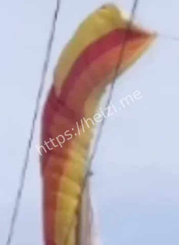 网络谣言辟谣