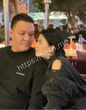 车澈李嘉格婆媳婚姻裂痕
