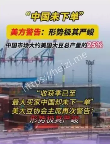 中国未下单美国大豆