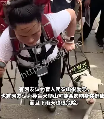 盲人夫妻励志视频反思