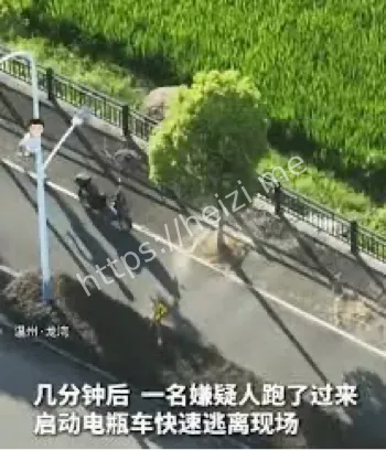 新疆霍拉山草原