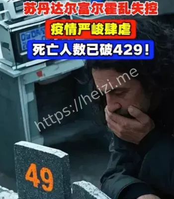 达尔富尔霍乱疫情