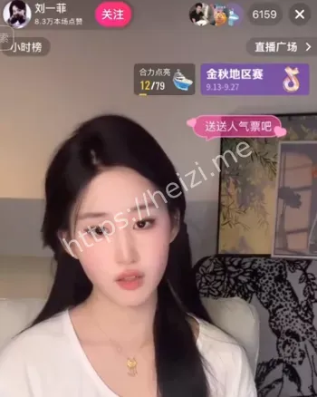 仿妆教程同款清单