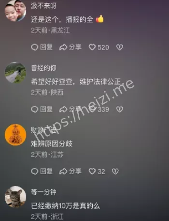 刑诉法199条适用