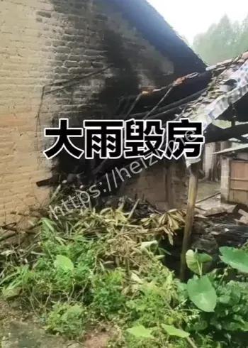 陕西平利县暴雨最新消息