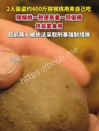 济南钢城猕猴桃案