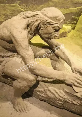 古人类DNA研究