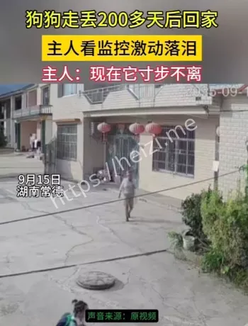 湖南常德狗狗回家事件
