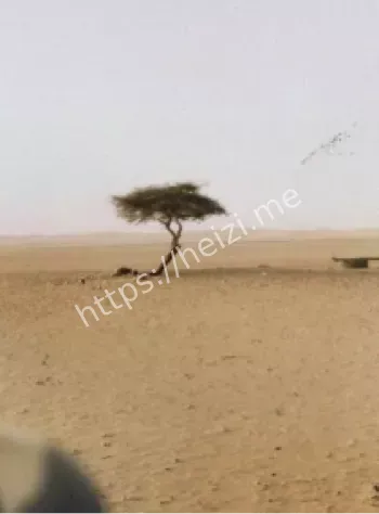 特内雷之树金属雕塑纪念