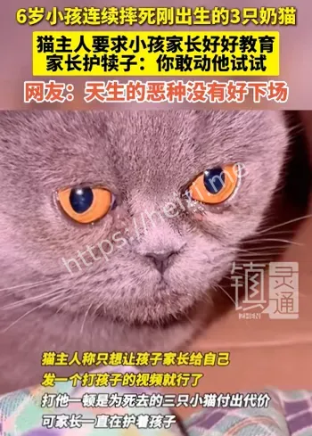 内丘县虐猫家庭教育