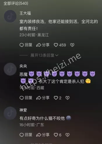 内丘县虐猫家庭教育