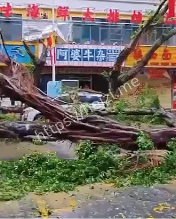 风暴潮与天文大潮叠加