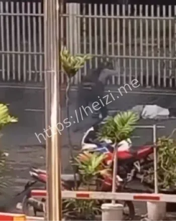 警察局纵火
