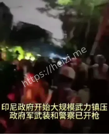 武力镇压