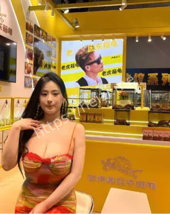 低胸超短裙黑丝