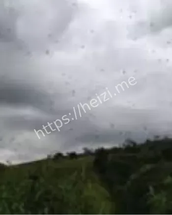 群居蜘蛛织巨网