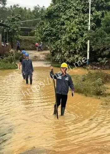 广东防风Ⅰ级应急响应