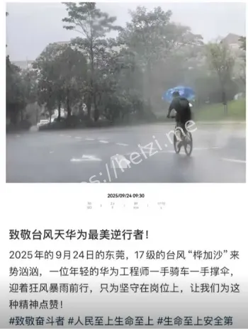 狼性文化员工安全冲突