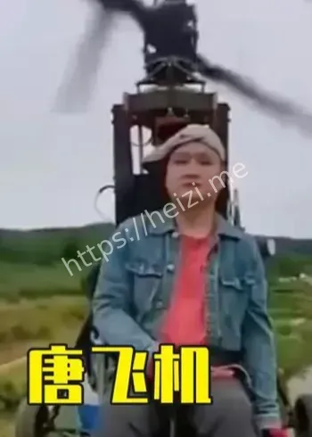 唐飞机坠机身亡原因