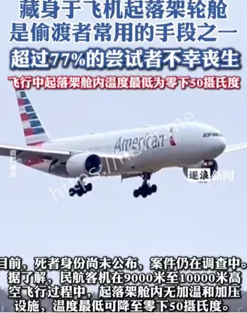 现场图片偷渡惨剧