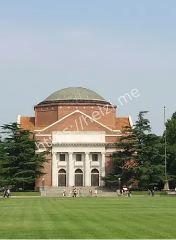 黄牛灰色产业链