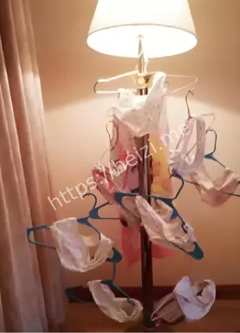 出租屋300套内衣