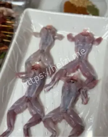 隔夜牛蛙中毒