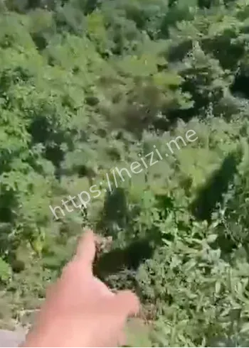 群众体育安全