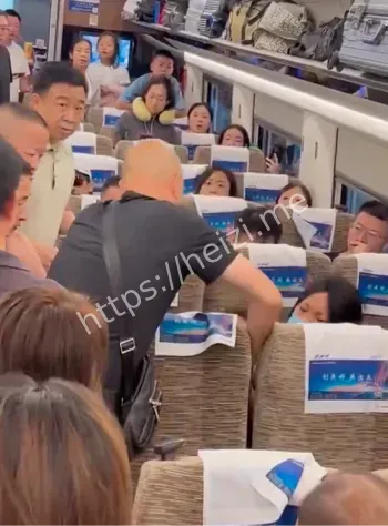 湖北通山访民