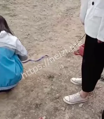 围殴老实学生