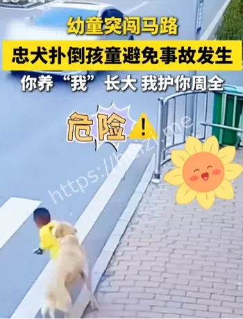 幼童突闯马路