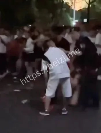 大哥折扇乌龙